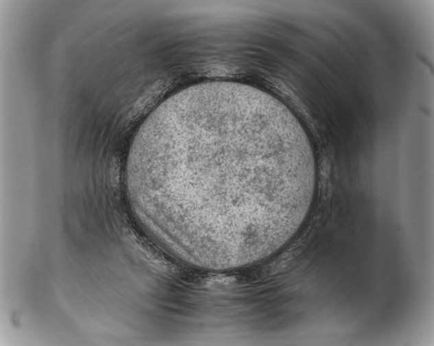 X0000102390257200808221831