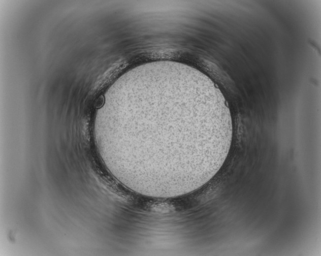 X0000102390258200808221831