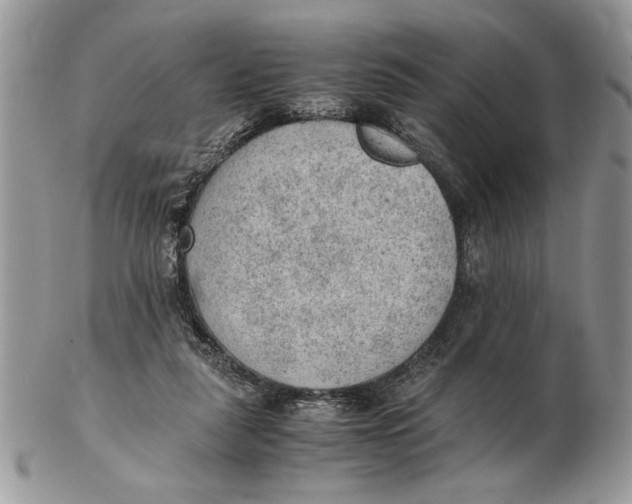 X0000102390259200808221831