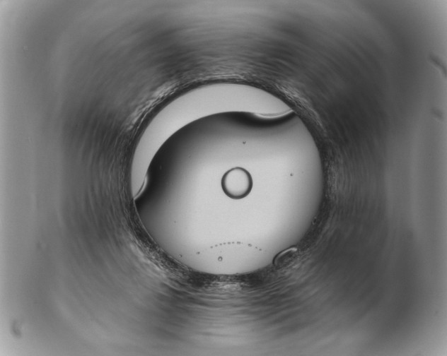 X0000102390260200808221831