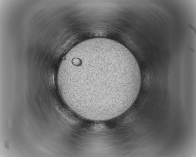 X0000102390262200808221832