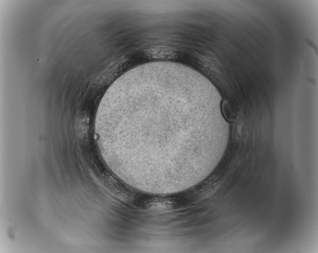 X0000102390263200808221832