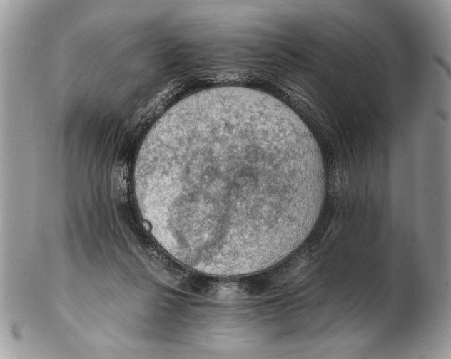 X0000102390264200808221832