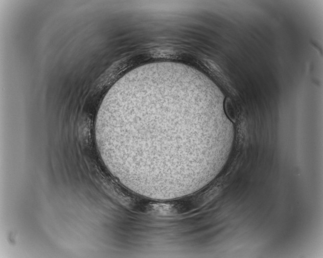 X0000102390265200808221832