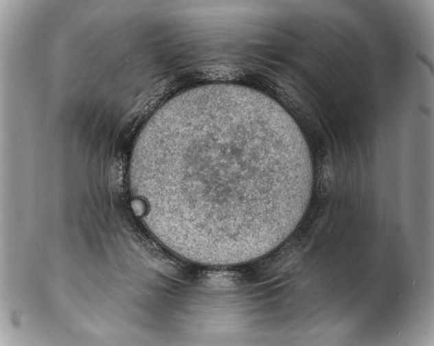 X0000102390268200808221832
