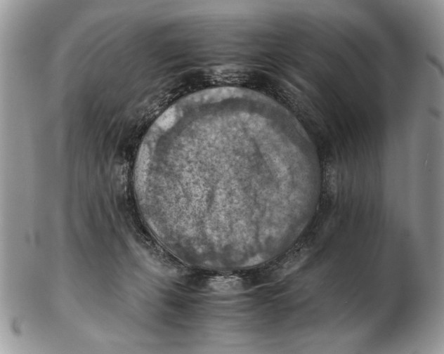 X0000102390271200808221832