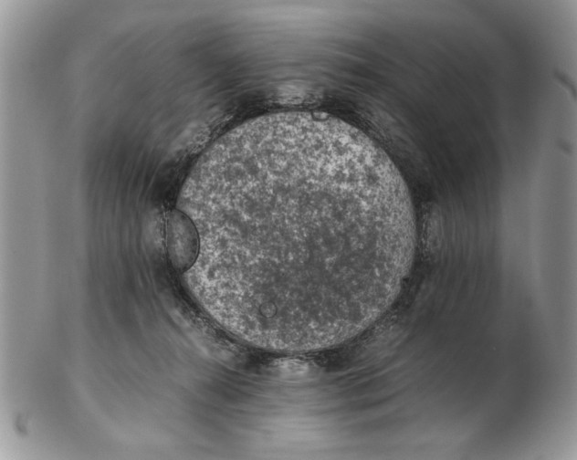 X0000102390272200808221832