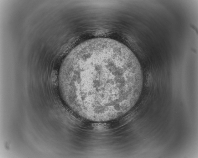 X0000102390273200808221832