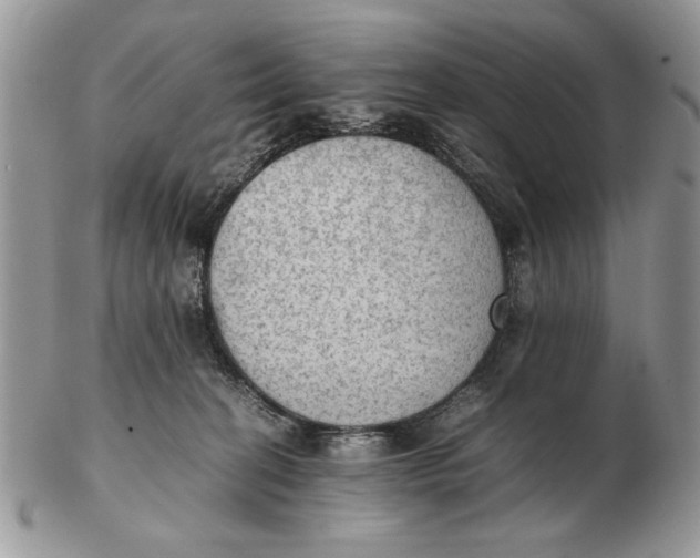 X0000102390274200808221832