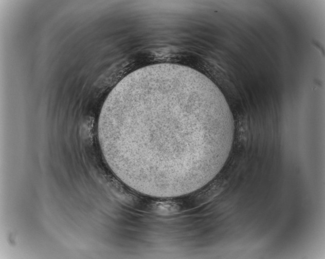 X0000102390275200808221832