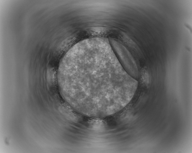 X0000102390276200808221832