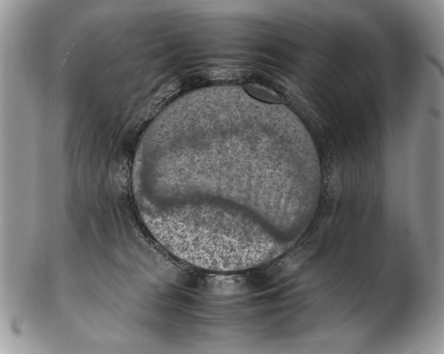 X0000102390277200808221832