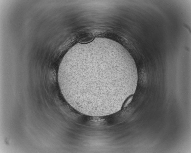 X0000102390278200808221832