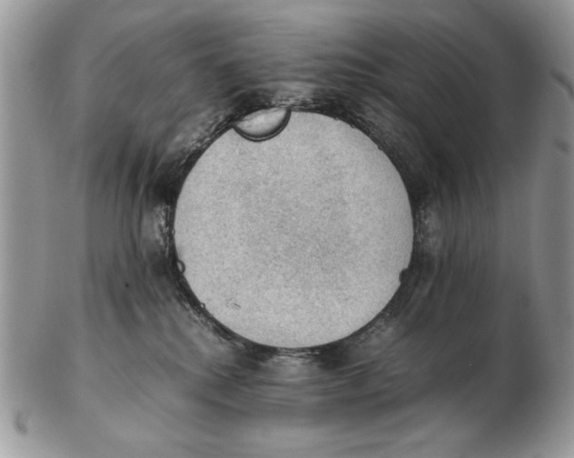 X0000102390280200808221832