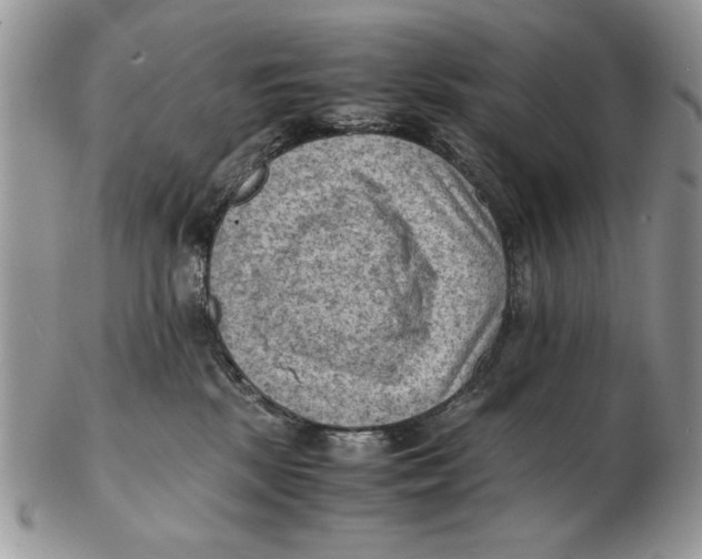 X0000102390281200808221832