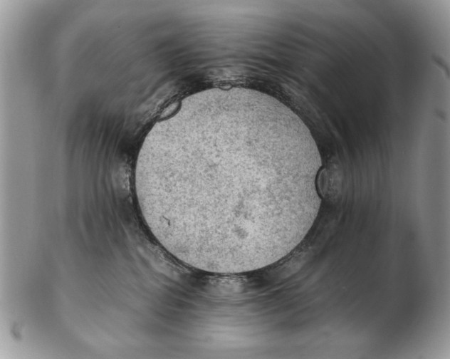 X0000102390282200808221832