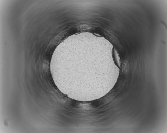 X0000102390283200808221832