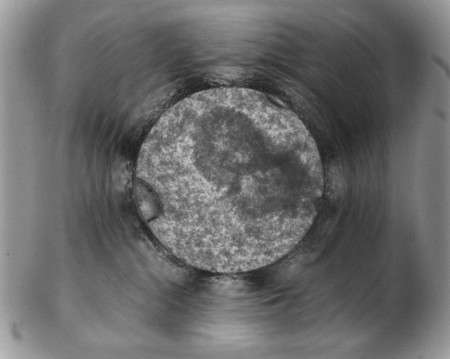 X0000102390284200808221832