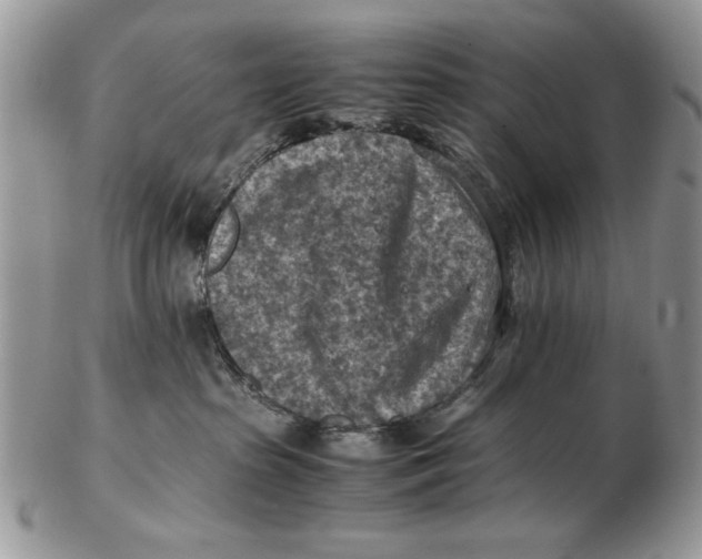 X0000102390285200808221832