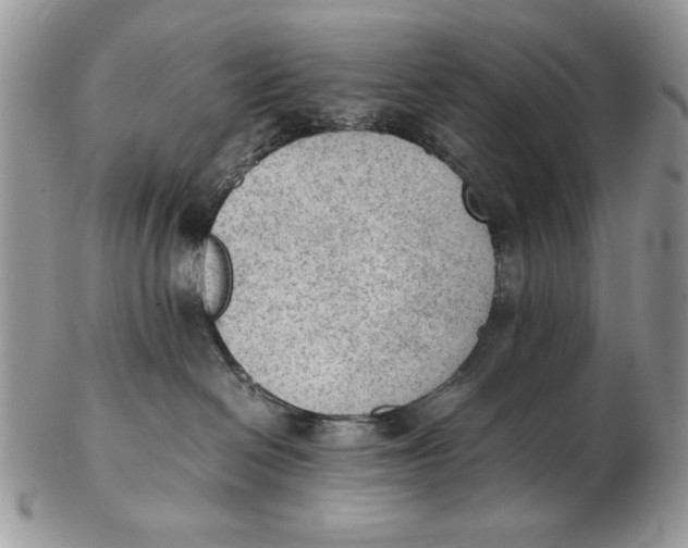 X0000102390286200808221832