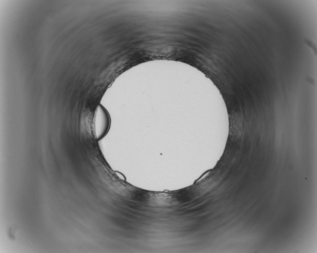 X0000102390287200808221832