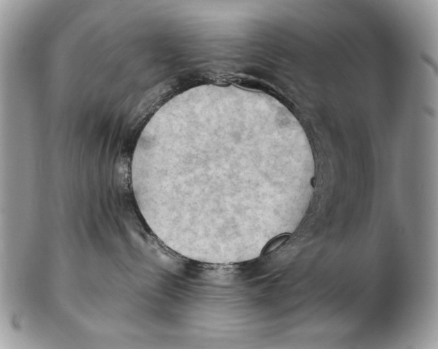 X0000102390288200808221832