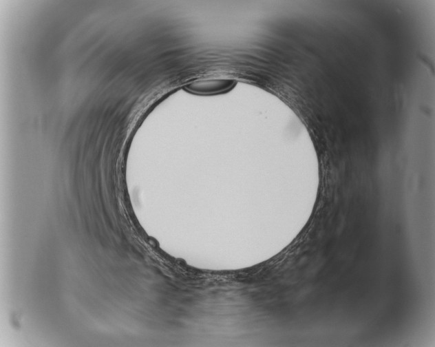 X0000102390289200808221831
