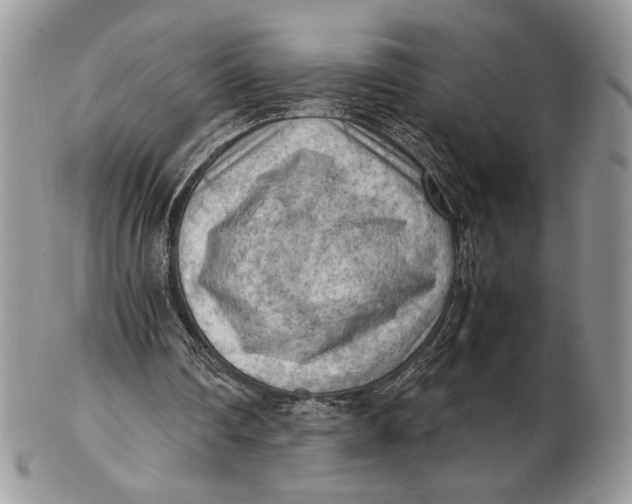 X0000102390290200808221831
