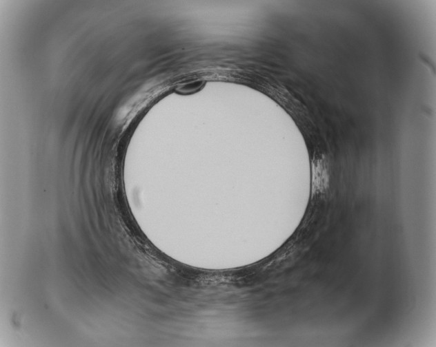 X0000102390291200808221831
