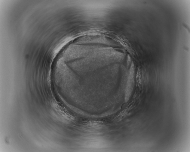 X0000102390292200808221831