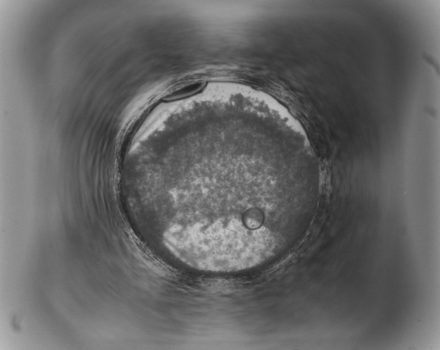 X0000102390293200808221831