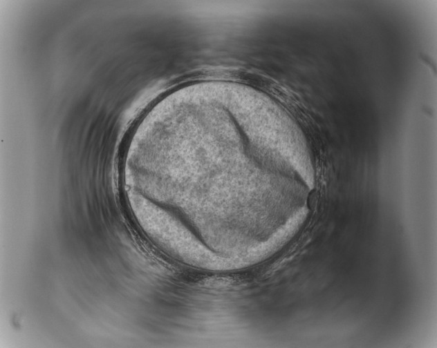 X0000102390294200808221831