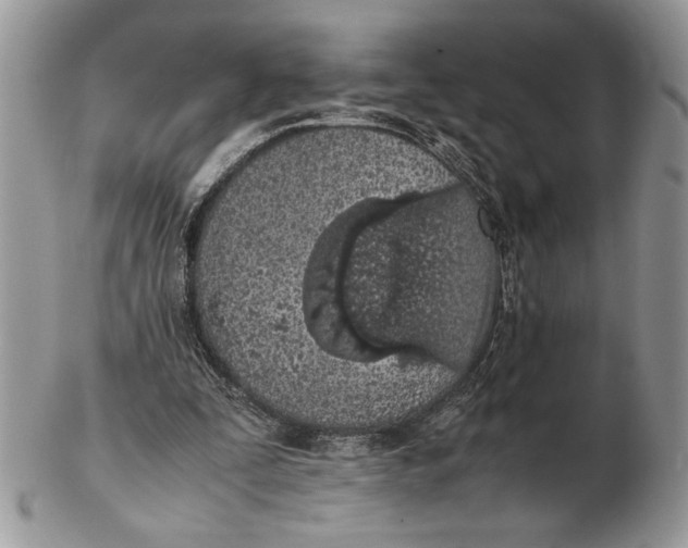 X0000102390295200808221831
