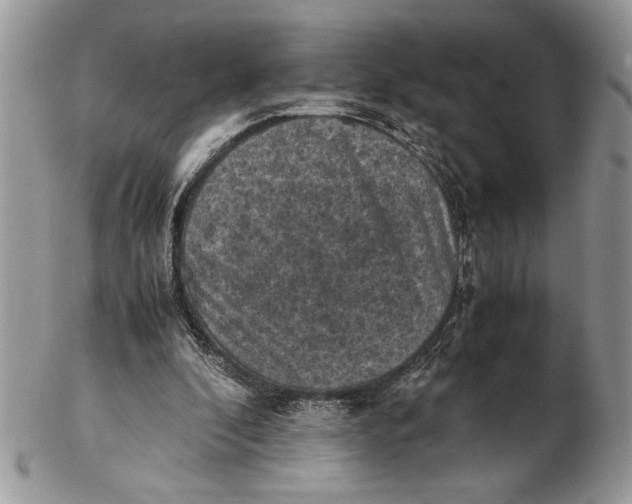X0000102390296200808221831