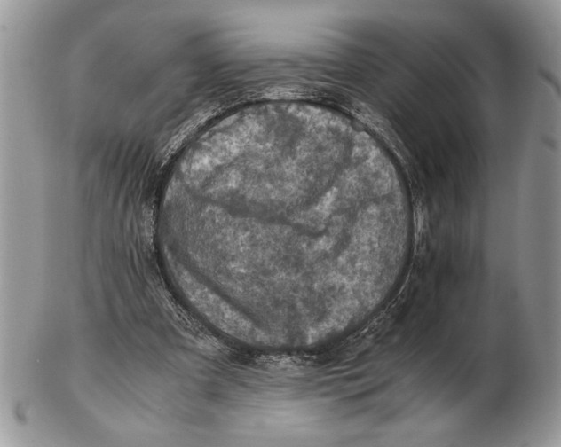 X0000102390297200808221831