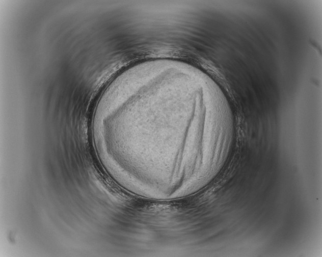 X0000102390298200808221831