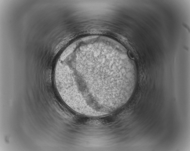 X0000102390299200808221831