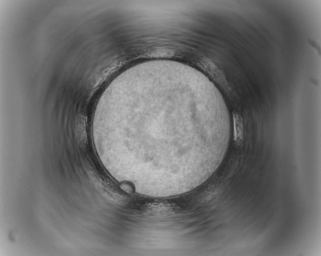 X0000102390300200808221831