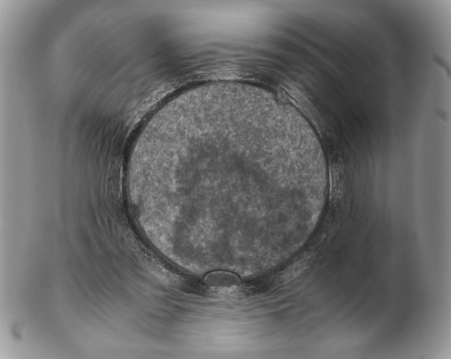 X0000102390301200808221831