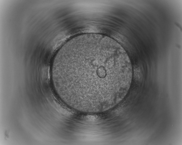 X0000102390302200808221831