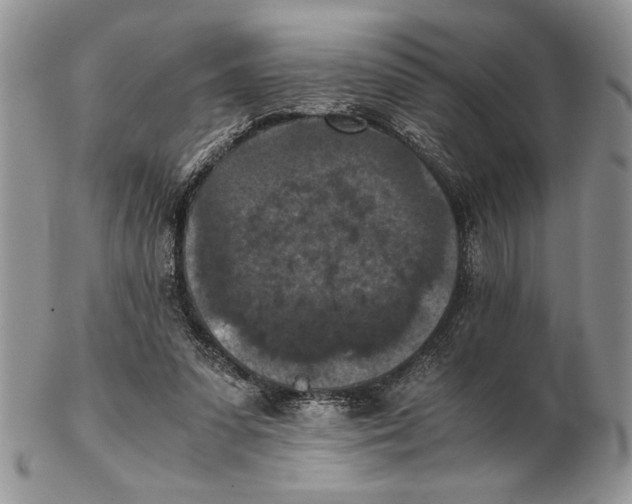X0000102390303200808221831