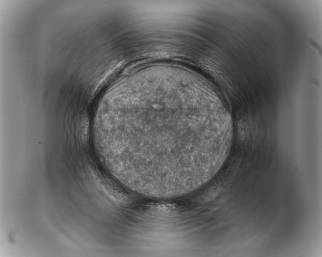 X0000102390304200808221831