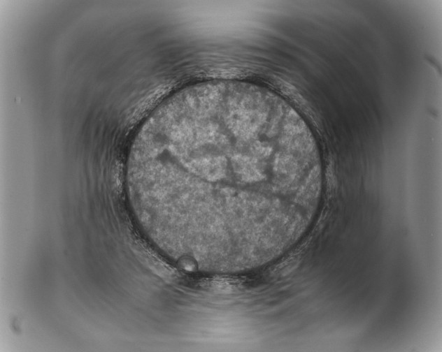 X0000102390305200808221831
