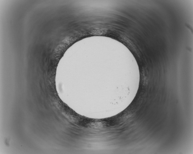 X0000102390307200808221831