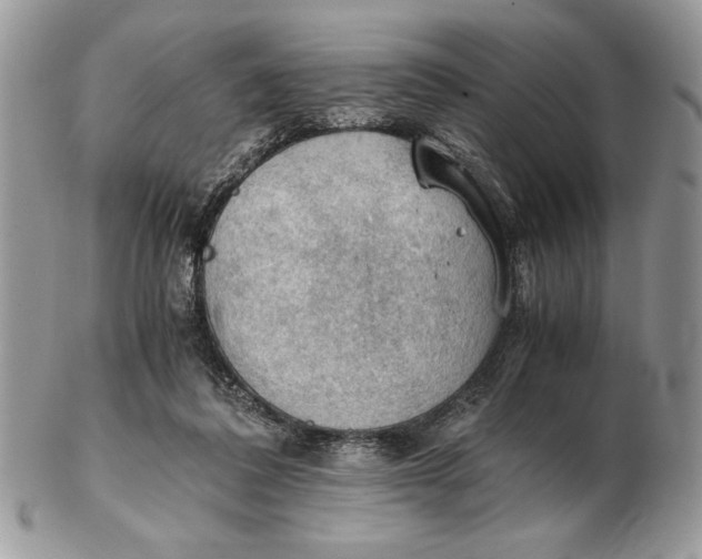 X0000102390308200808221831