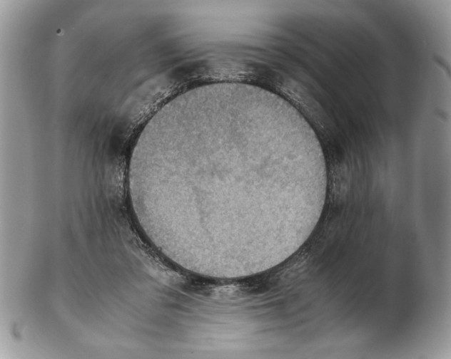 X0000102390309200808221831