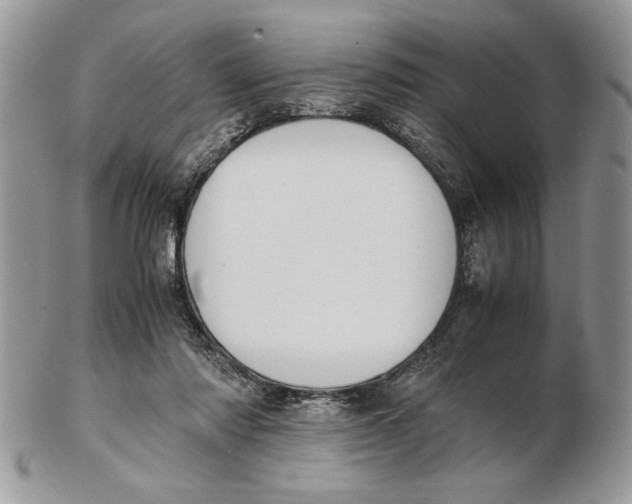 X0000102390310200808221831