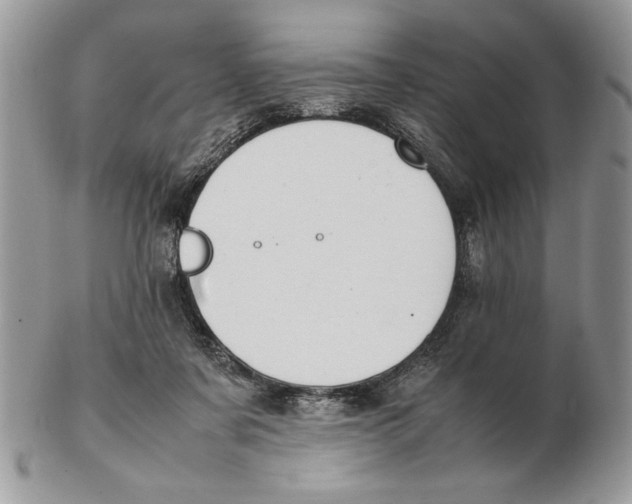 X0000102390311200808221831