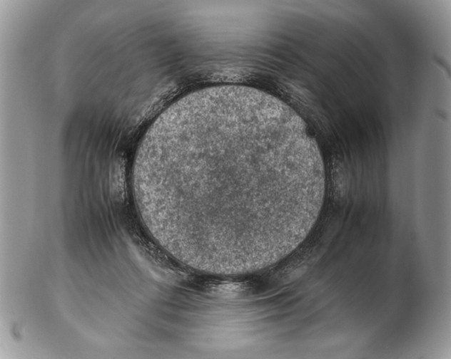 X0000102390312200808221831