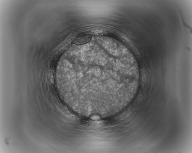 X0000102390313200808221831
